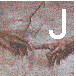 Juvat vivere
